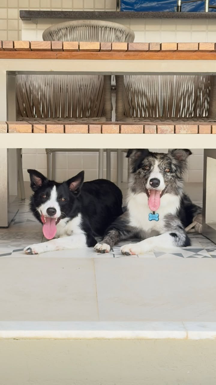 Julia Almeida com cão